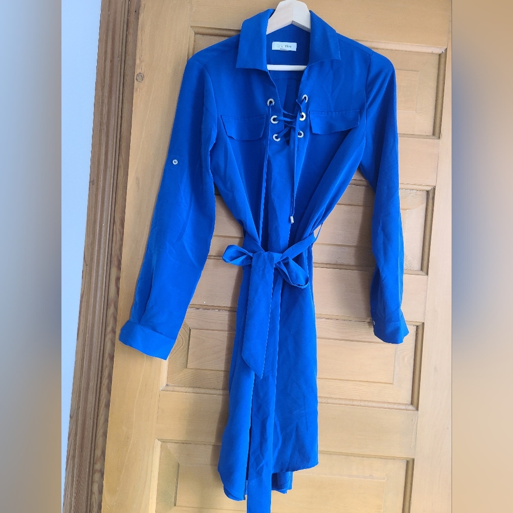 Calvin Klein Long Sleeve Dress